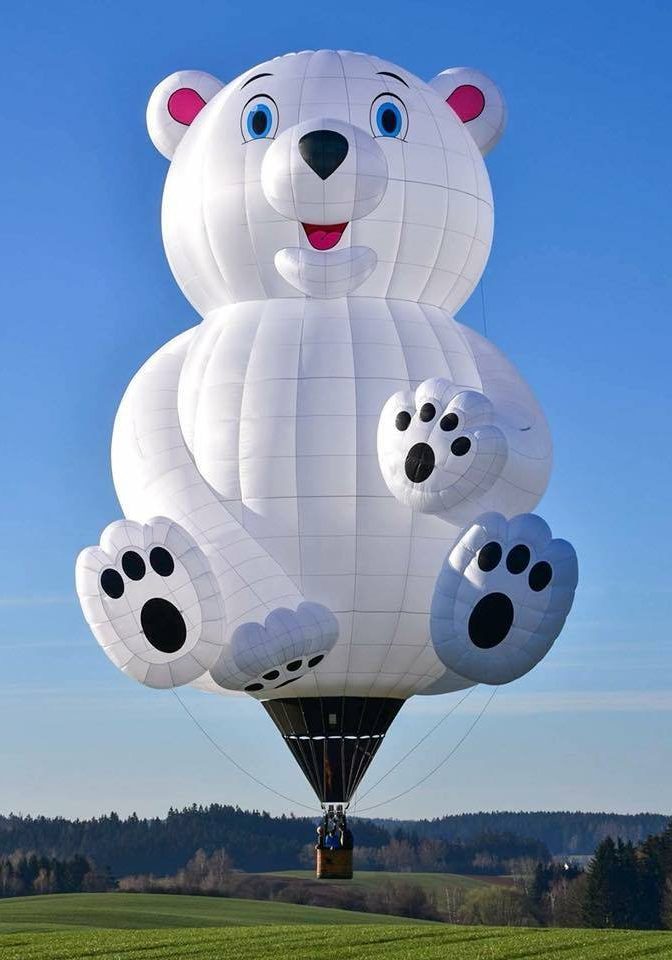 teddy in a balloon near me